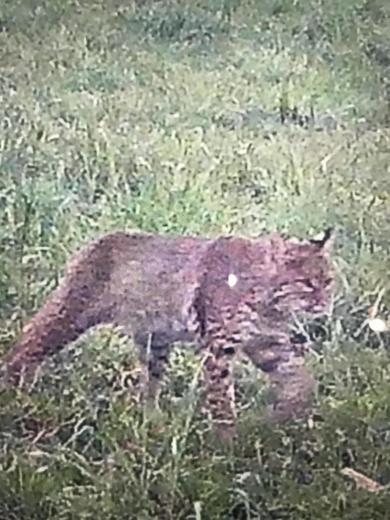 Richmond, Kentucky 40475, United States, ,Residential,Active,181084