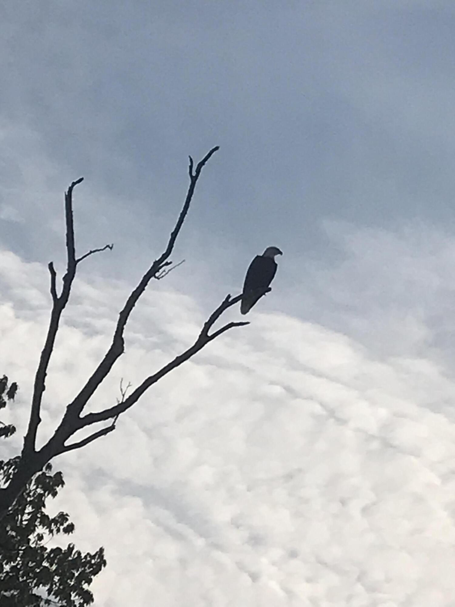 Richmond, Kentucky 40475, United States, ,Residential,Active,181084