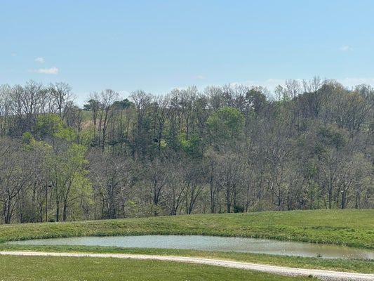 19 COON TRL 3, EAST BERNSTADT, KY 40729 - Image 6be9c4547f332f8cbafdeb4e166e4d41/4192895834