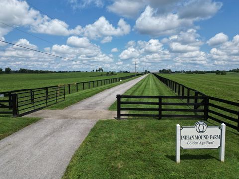 5335 Russell Cave Road Lexington KY 40511