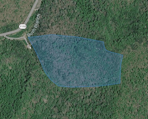 BUSH RD, BEATTYVILLE, KY 41311 - Image 71dfad4e85cd40327639bac4e4103dfb/2516372912