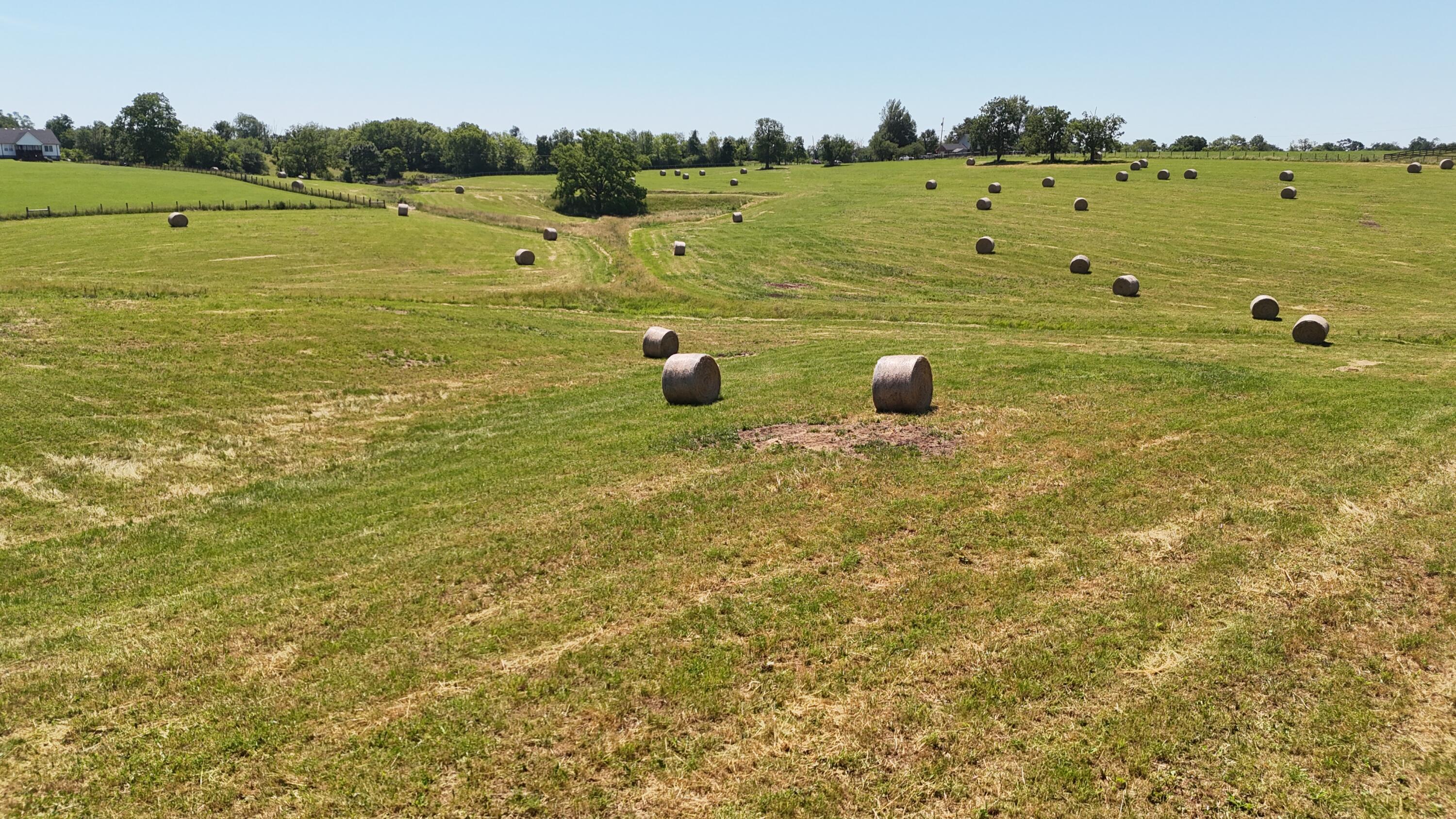 Georgetown, Kentucky 40324, United States, ,Land,Contingent,54900