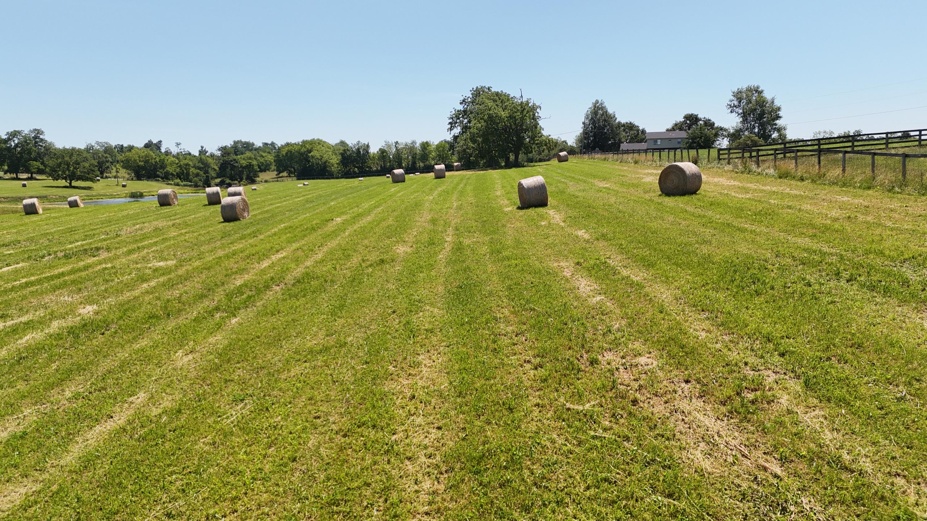 Georgetown, Kentucky 40324, United States, ,Land,Contingent,54900