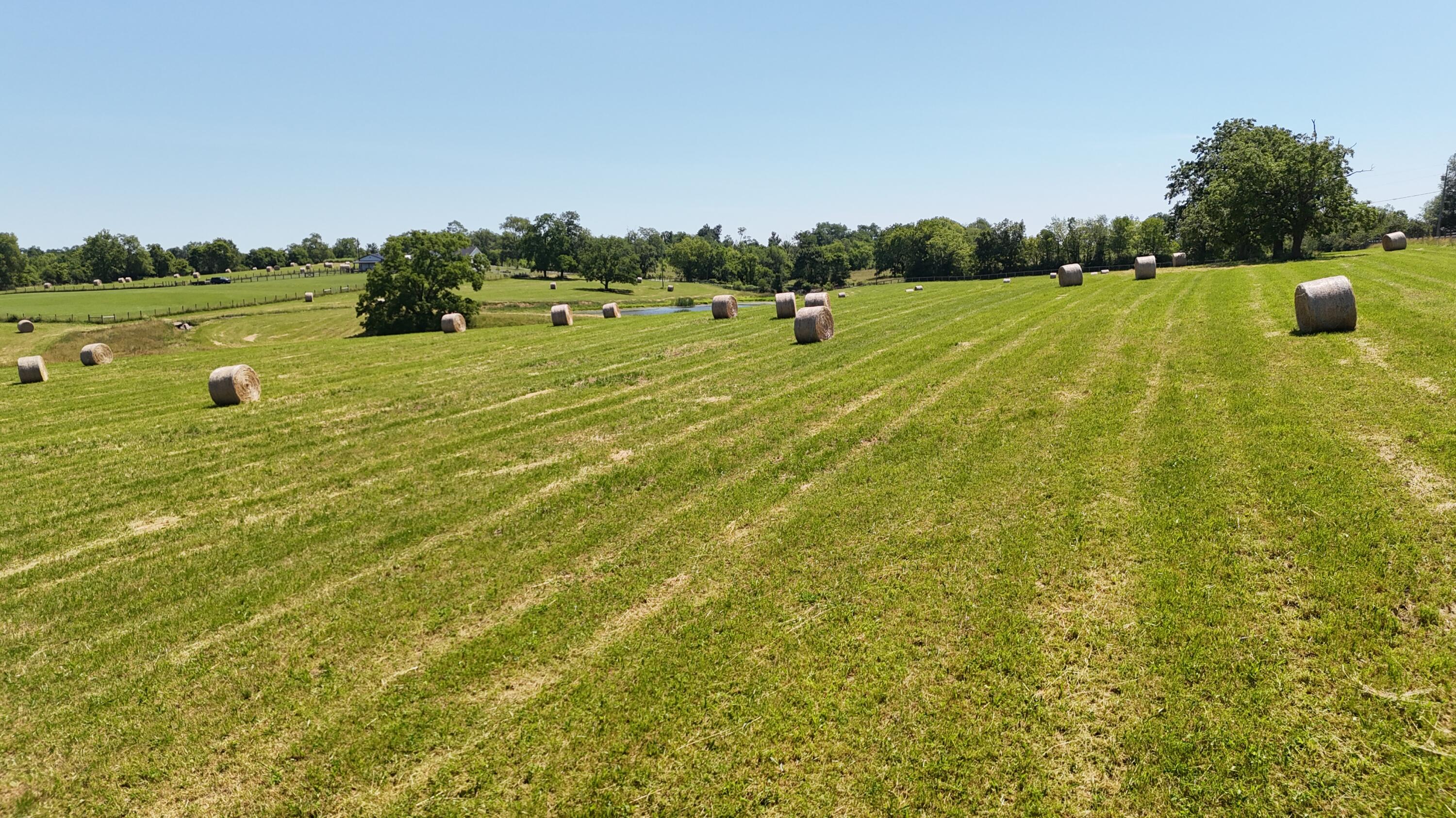 Georgetown, Kentucky 40324, United States, ,Land,Contingent,54900
