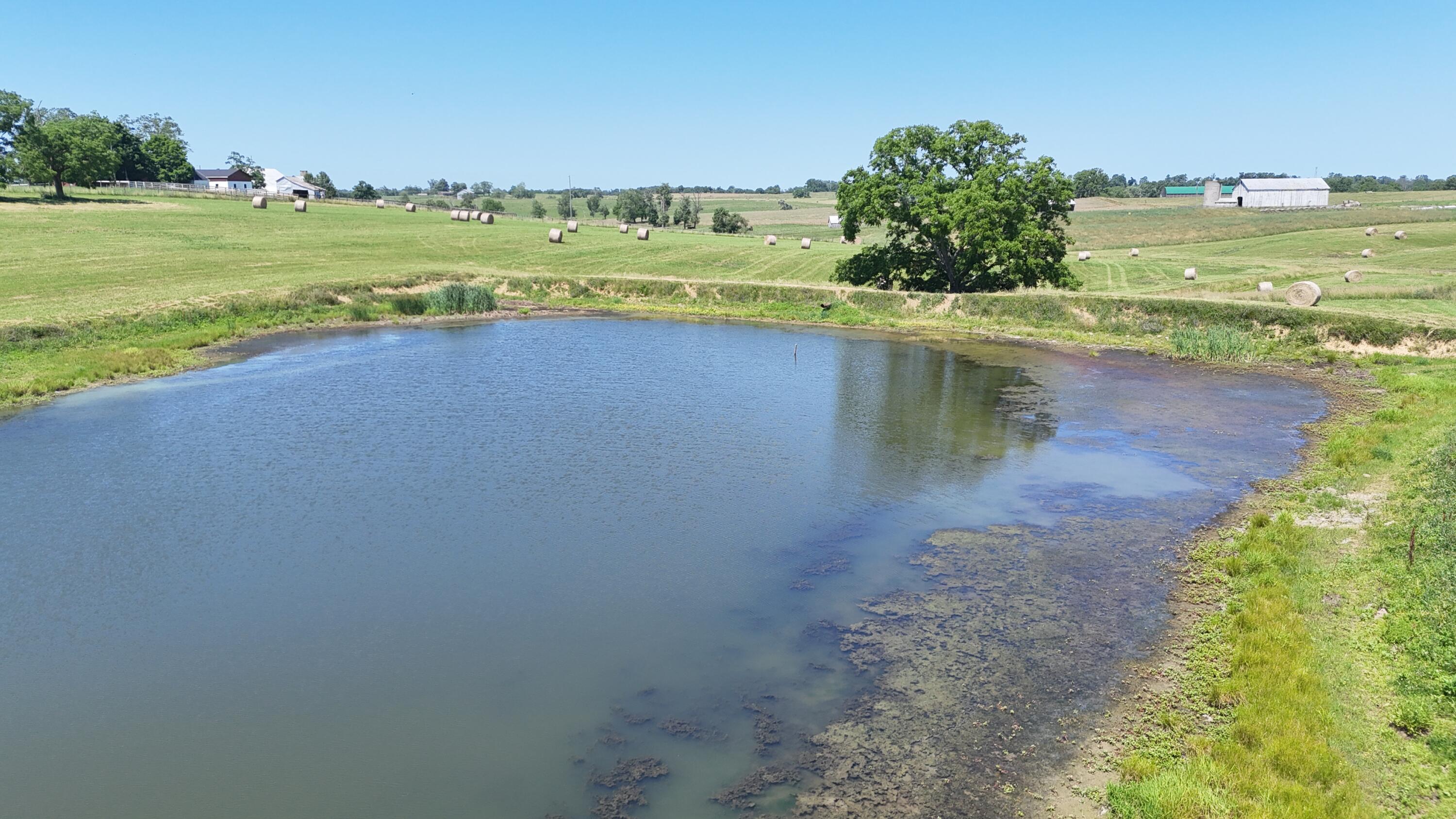 Georgetown, Kentucky 40324, United States, ,Land,Contingent,54900