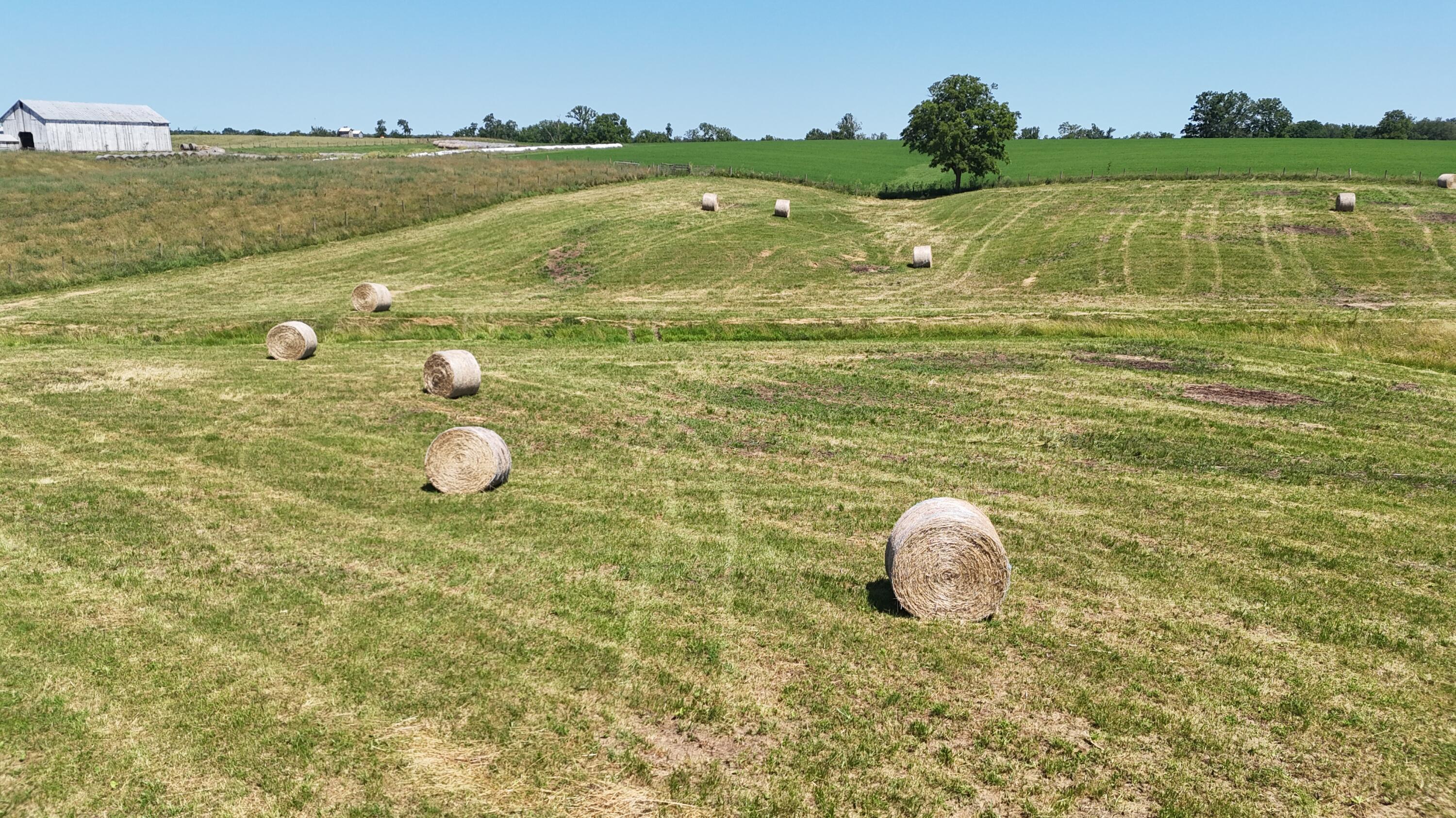 Georgetown, Kentucky 40324, United States, ,Land,Contingent,54900