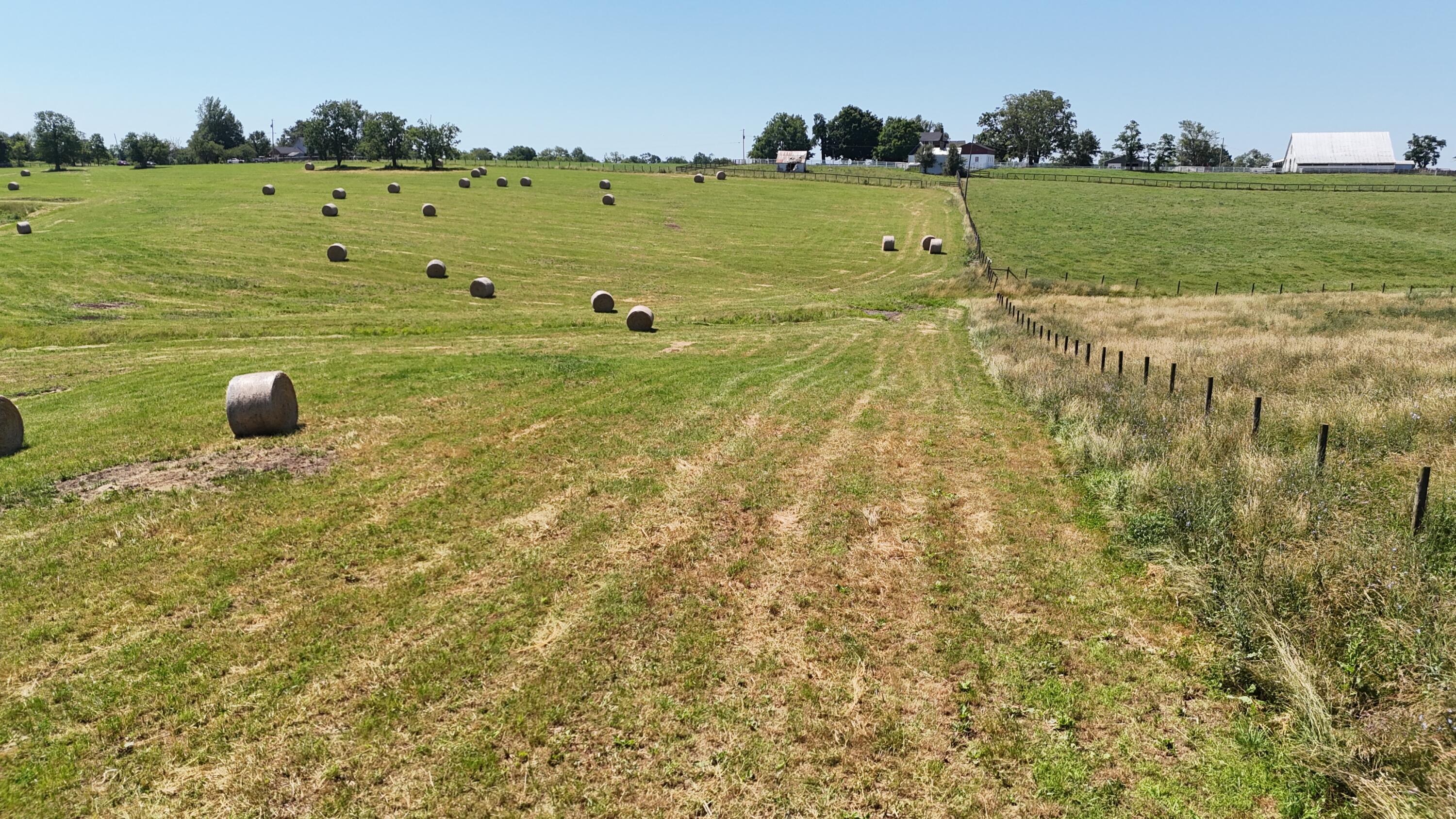 Georgetown, Kentucky 40324, United States, ,Land,Contingent,54900