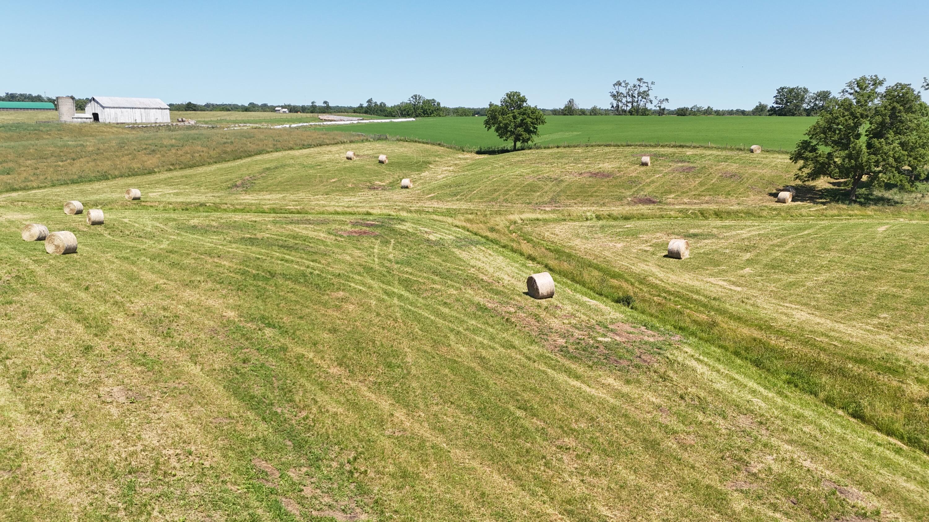 Georgetown, Kentucky 40324, United States, ,Land,Contingent,54900