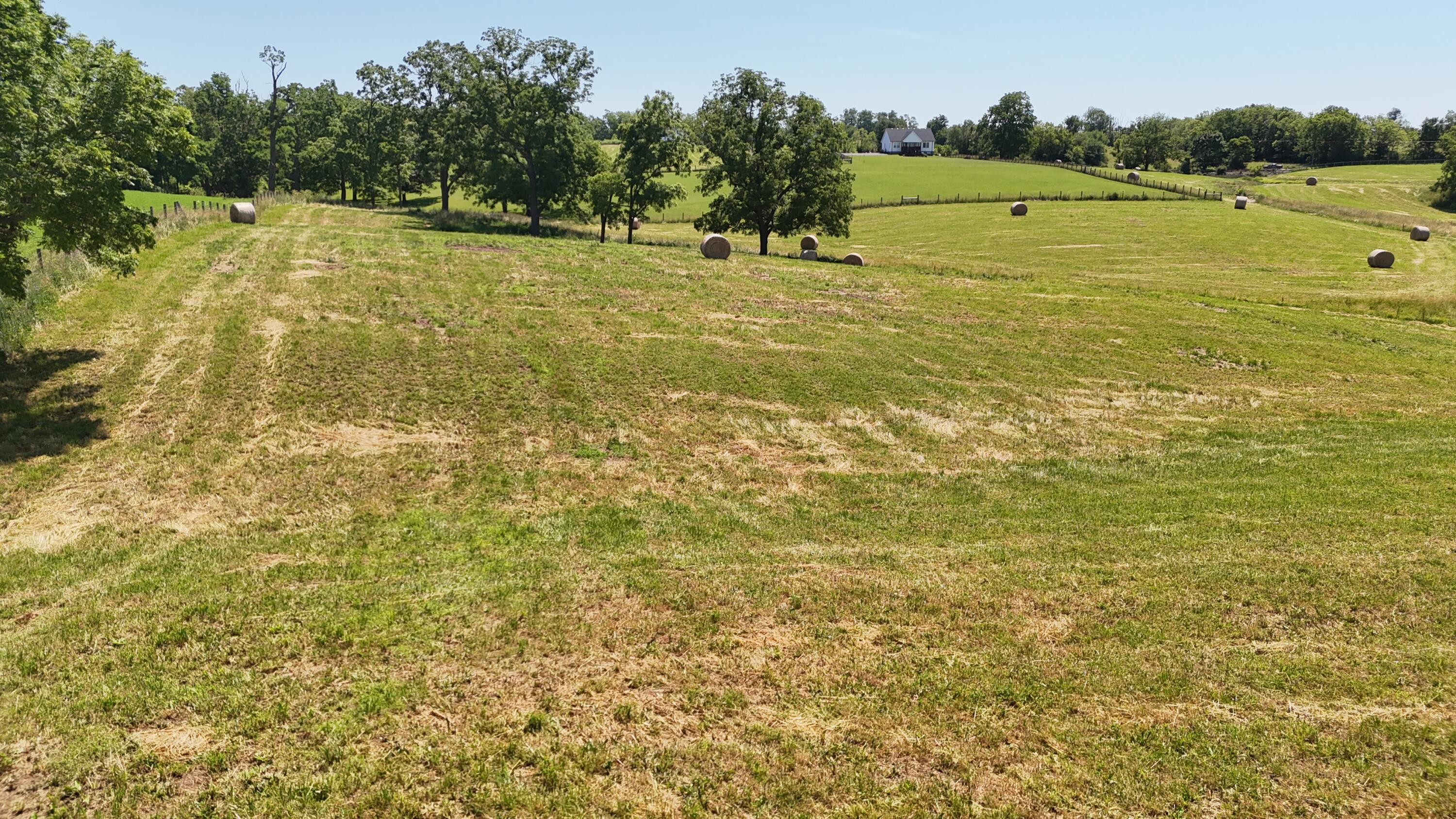 Georgetown, Kentucky 40324, United States, ,Land,Contingent,54900