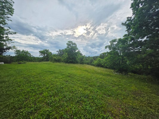 TRACT 1 OLD DIXVILLE ROAD, HARRODSBURG, KY 40330 - Image 7467feff96f76eeb97ce3ef979bc98b8/2755985185