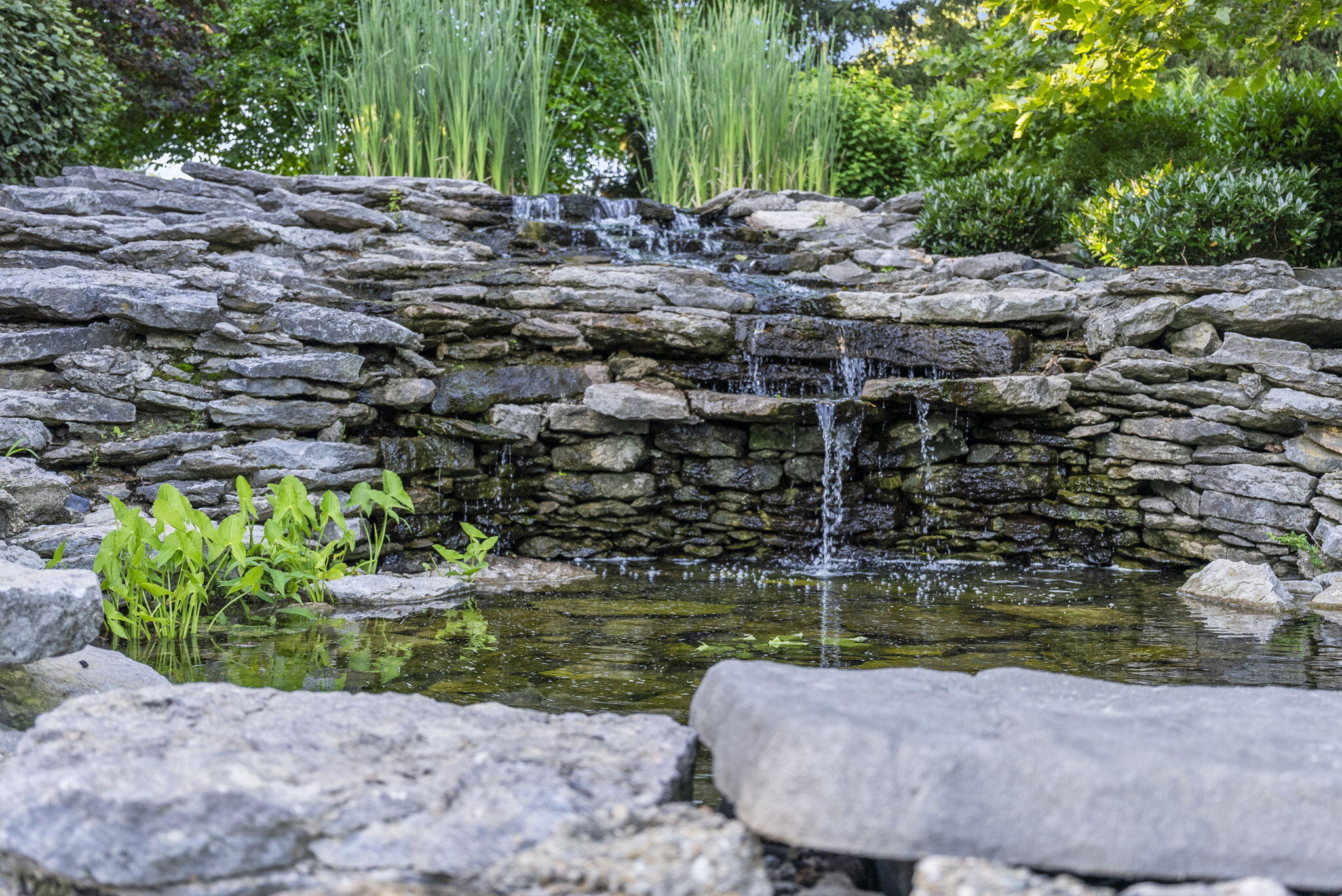 Lexington, Kentucky 40509, United States, 5 Bedrooms Bedrooms, ,5 BathroomsBathrooms,Residential,Active,165956