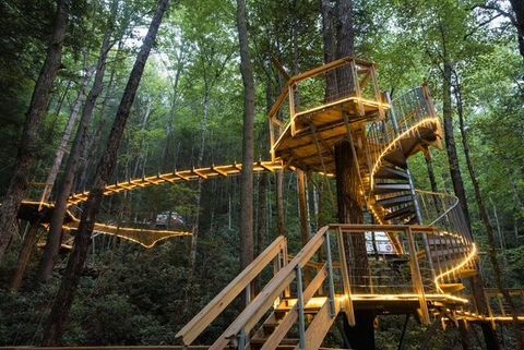 Property photo of 242 Cave Holw Road, Campton, KY 41301