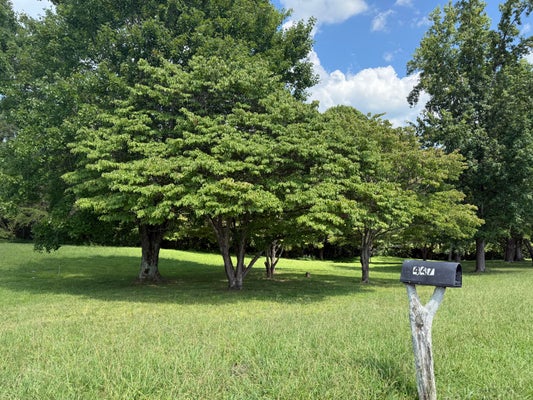 95 CHERRY LOOP, JAMESTOWN, KY 42629 - Image 799a2b352b4e476dbd7efba193eeaf70/306241054