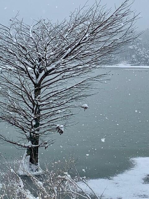 Berea, Kentucky 40403, United States, ,Land,Active,106684