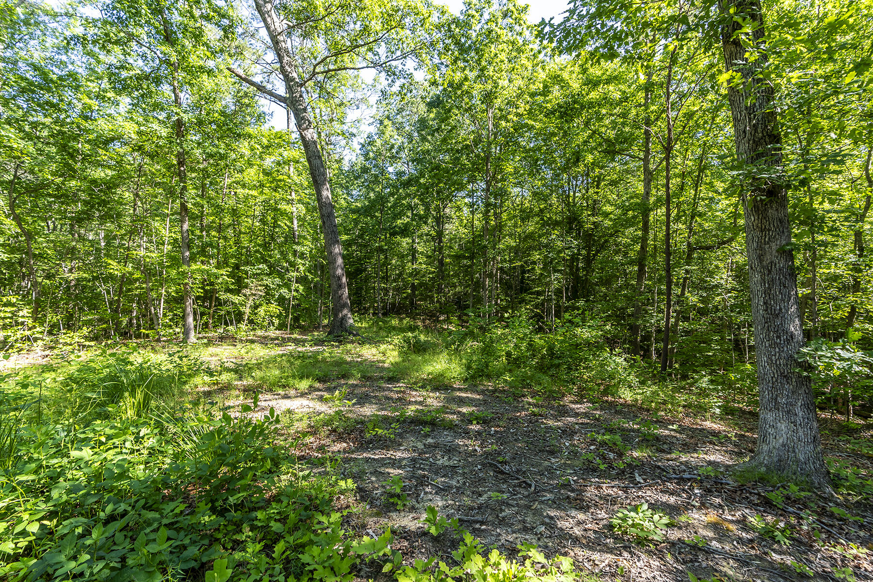 Berea, Kentucky 40403, United States, ,Land,Active,106684