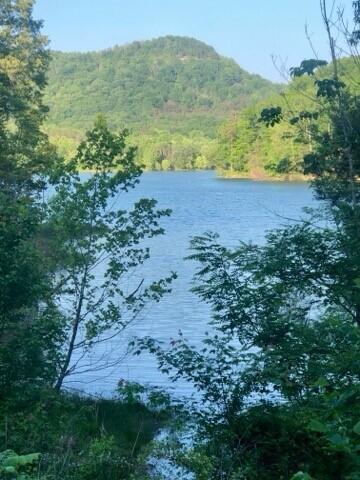 Berea, Kentucky 40403, United States, ,Land,Active,106684