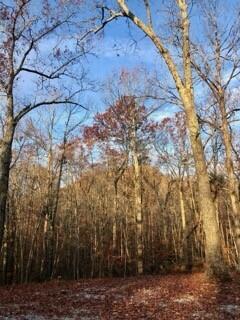 Berea, Kentucky 40403, United States, ,Land,Active,106684