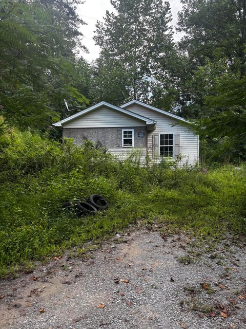 389 Newman Branch Hi Hat KY 41636