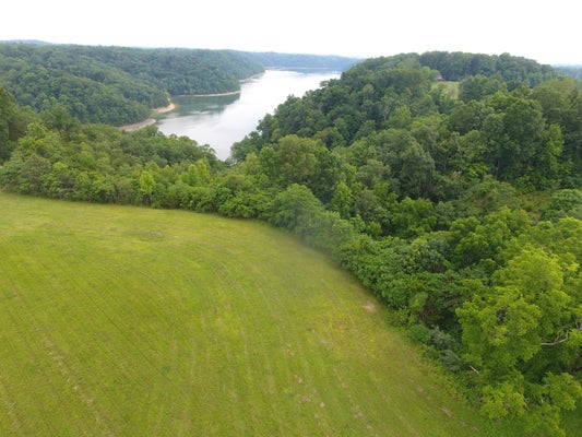 17 LOTS PARKS RIDGE SUBDIVISION ROAD, RUSSELL SPRINGS, KY 42642 - Image 87f21fe4cbde19d964b5dfe44dddddfa/4235208564