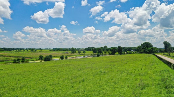 1 GLENN ROAD, PARIS, KY 40361 - Image 8a50f40c8d48352748fb16b4e32609e1/250774620