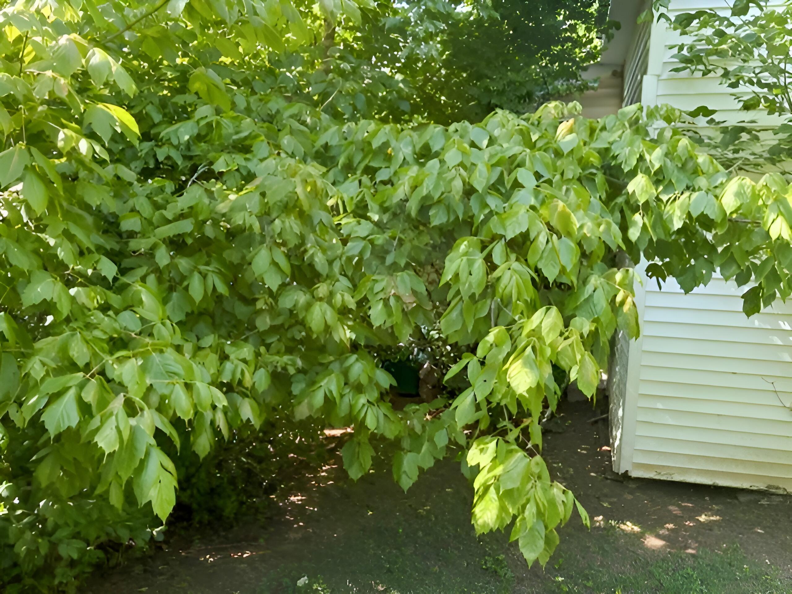 399 Campground Road - Photo 2