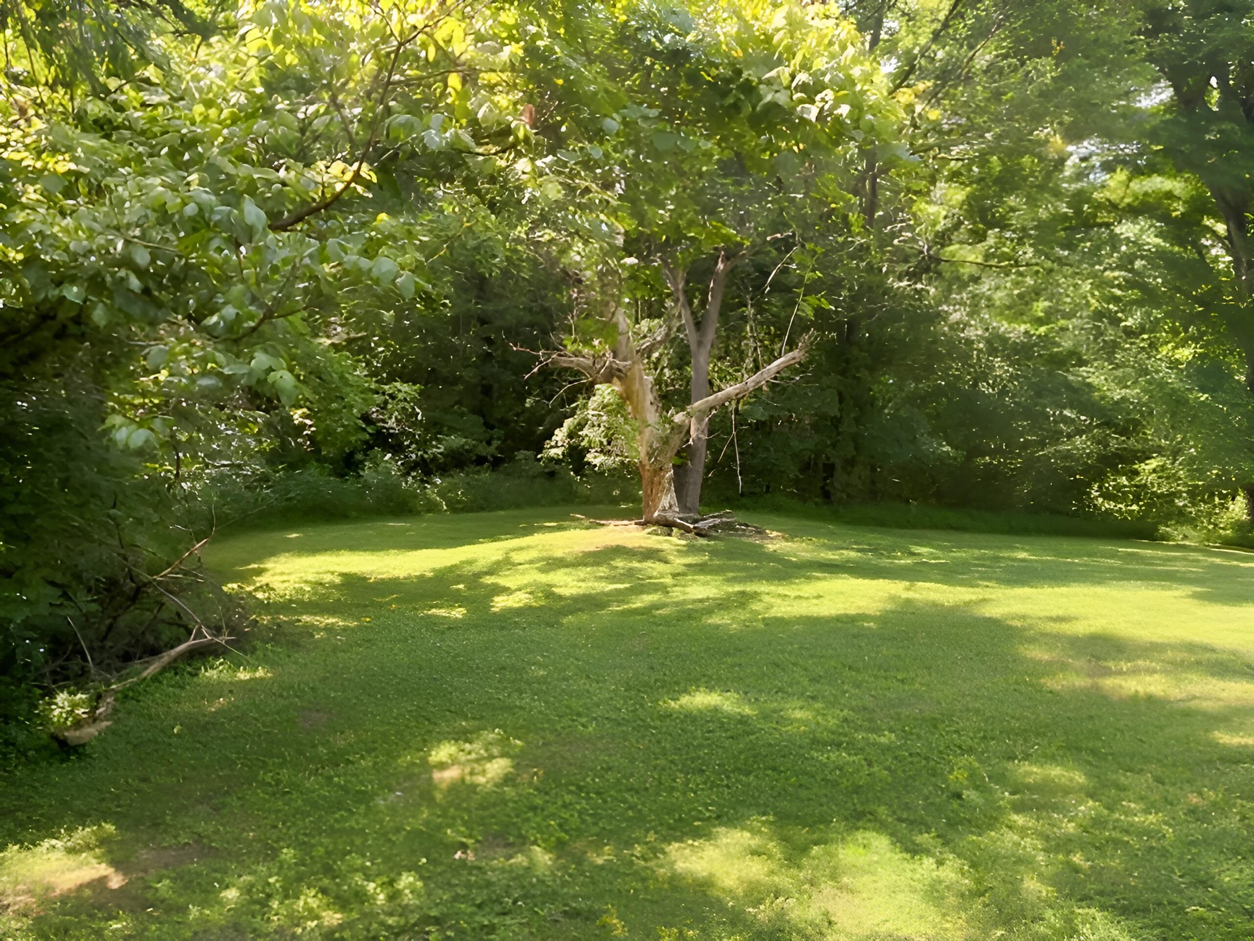 399 Campground Road - Photo 3