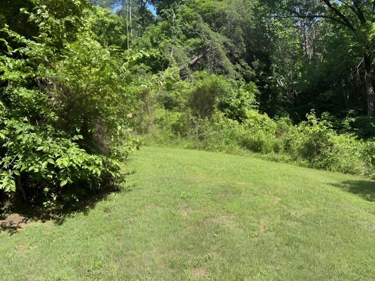 399 CAMPGROUND RD, BONNIEVILLE, KY 42713 - Image 8b66fc2eaaba07dda46c5eeafba324f1/3257082810