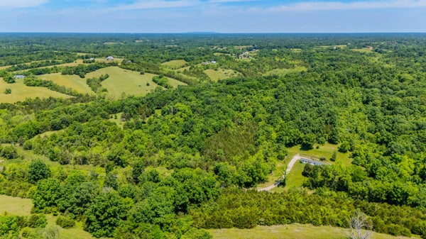 1265 EDMONSON RD, LAWRENCEBURG, KY 40342 - Image 8cf8a063b646d14bfed9b87b3dfa1fc9/3841989568