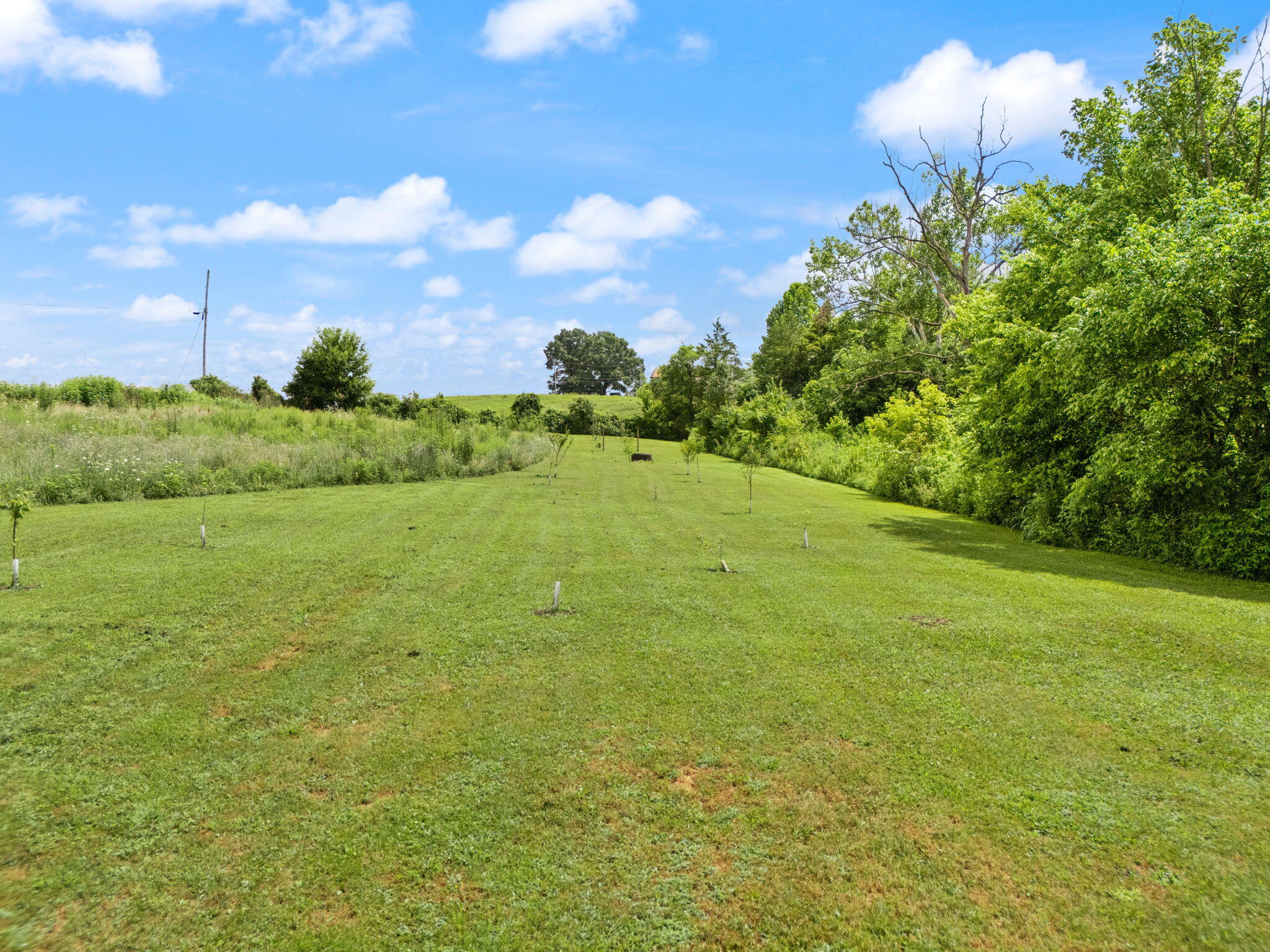 Irvine, Kentucky 40336, United States, 4 Bedrooms Bedrooms, ,4 BathroomsBathrooms,Residential,Pending,173322