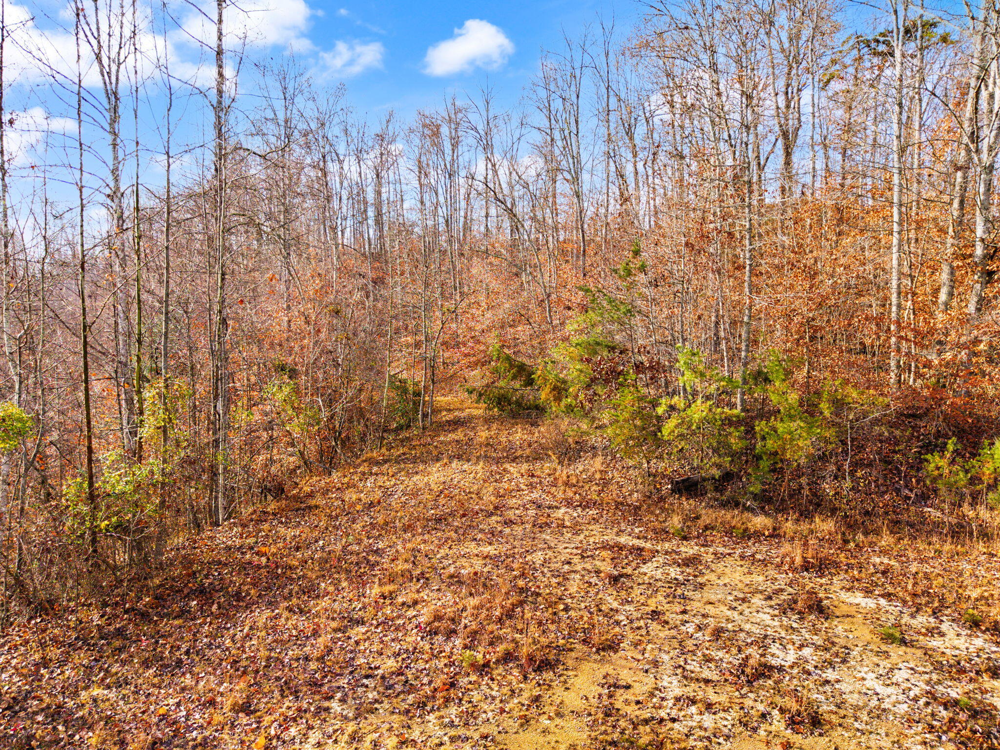 Campton, Kentucky 41301, United States, ,Land,Active,248901