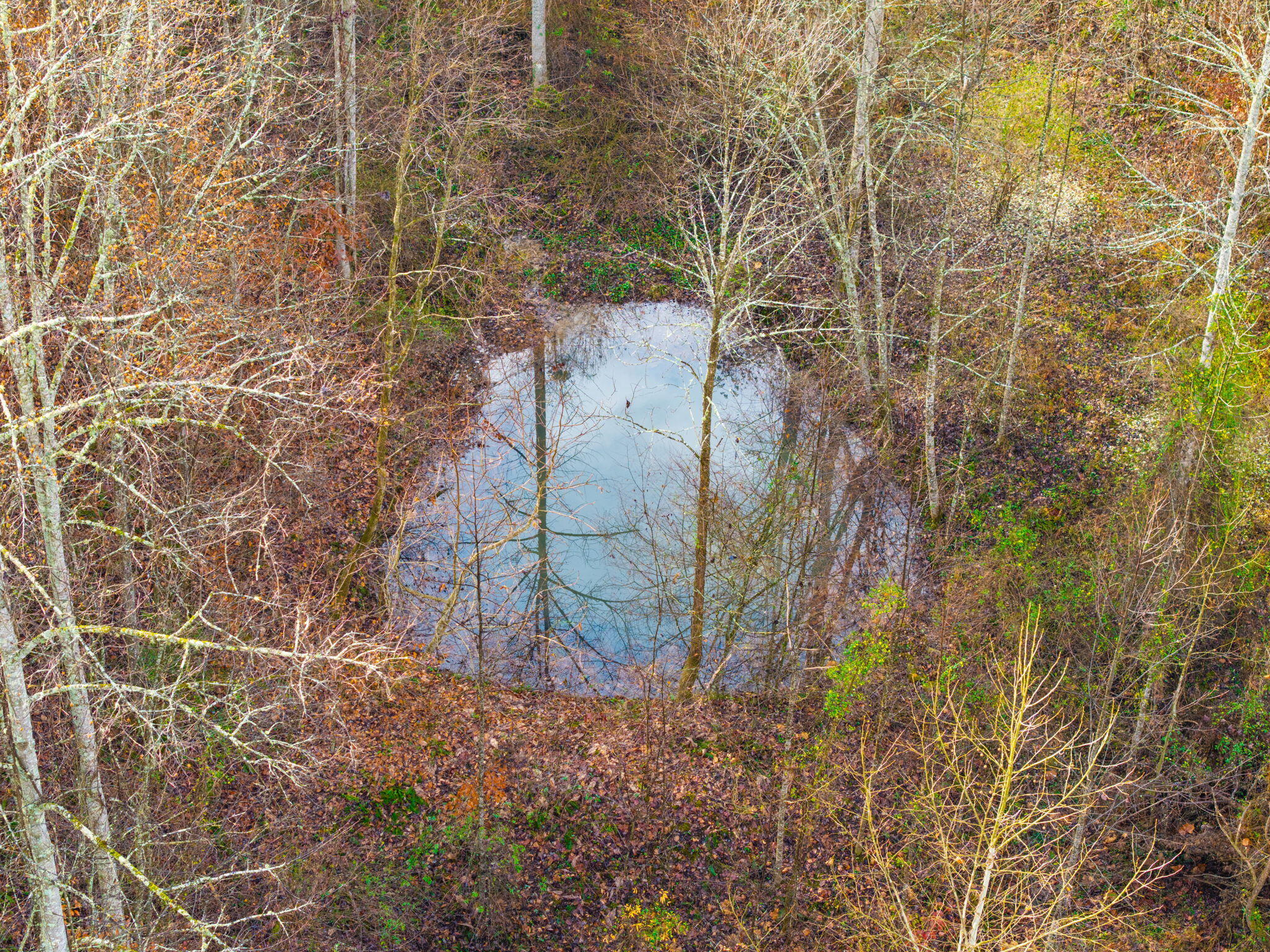 Campton, Kentucky 41301, United States, ,Land,Active,248901