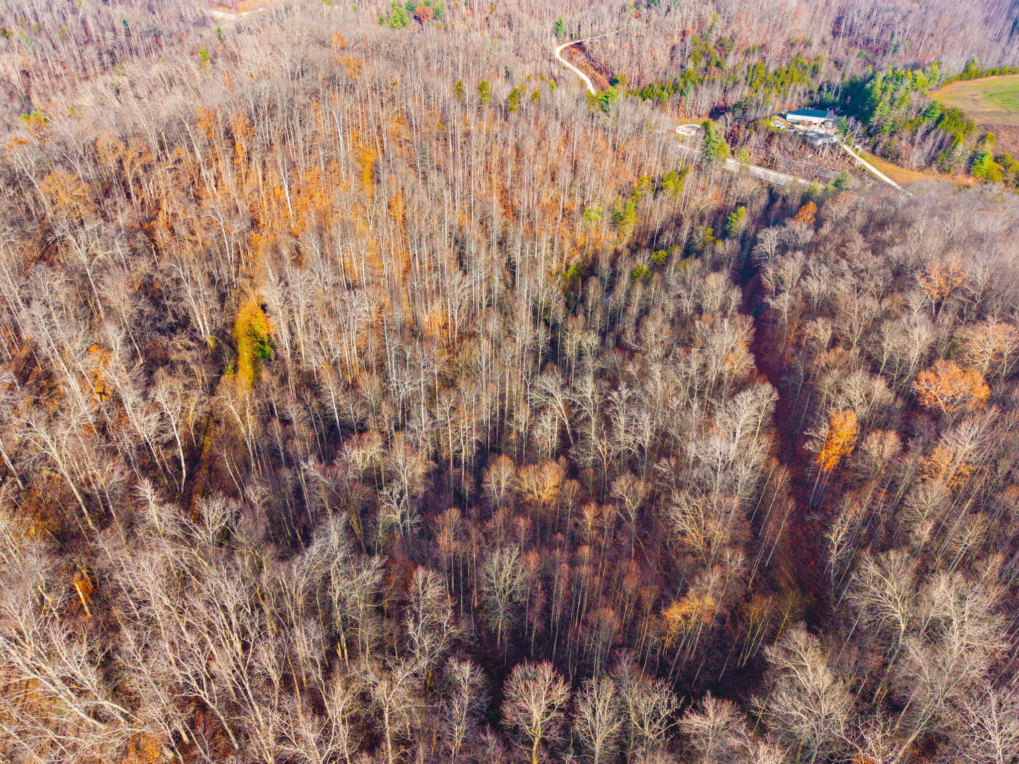 Campton, Kentucky 41301, United States, ,Land,Active,248901