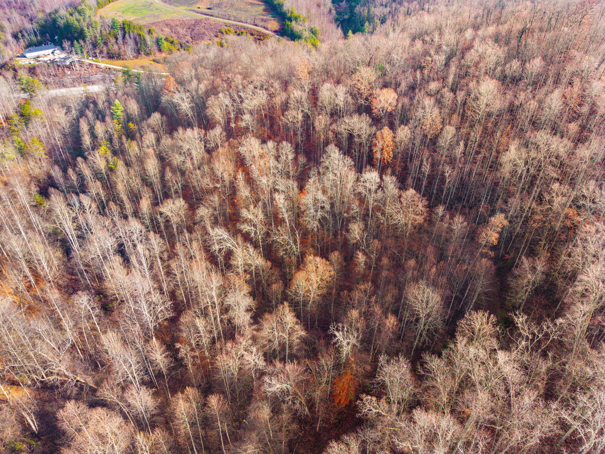 Campton, Kentucky 41301, United States, ,Land,Active,248901