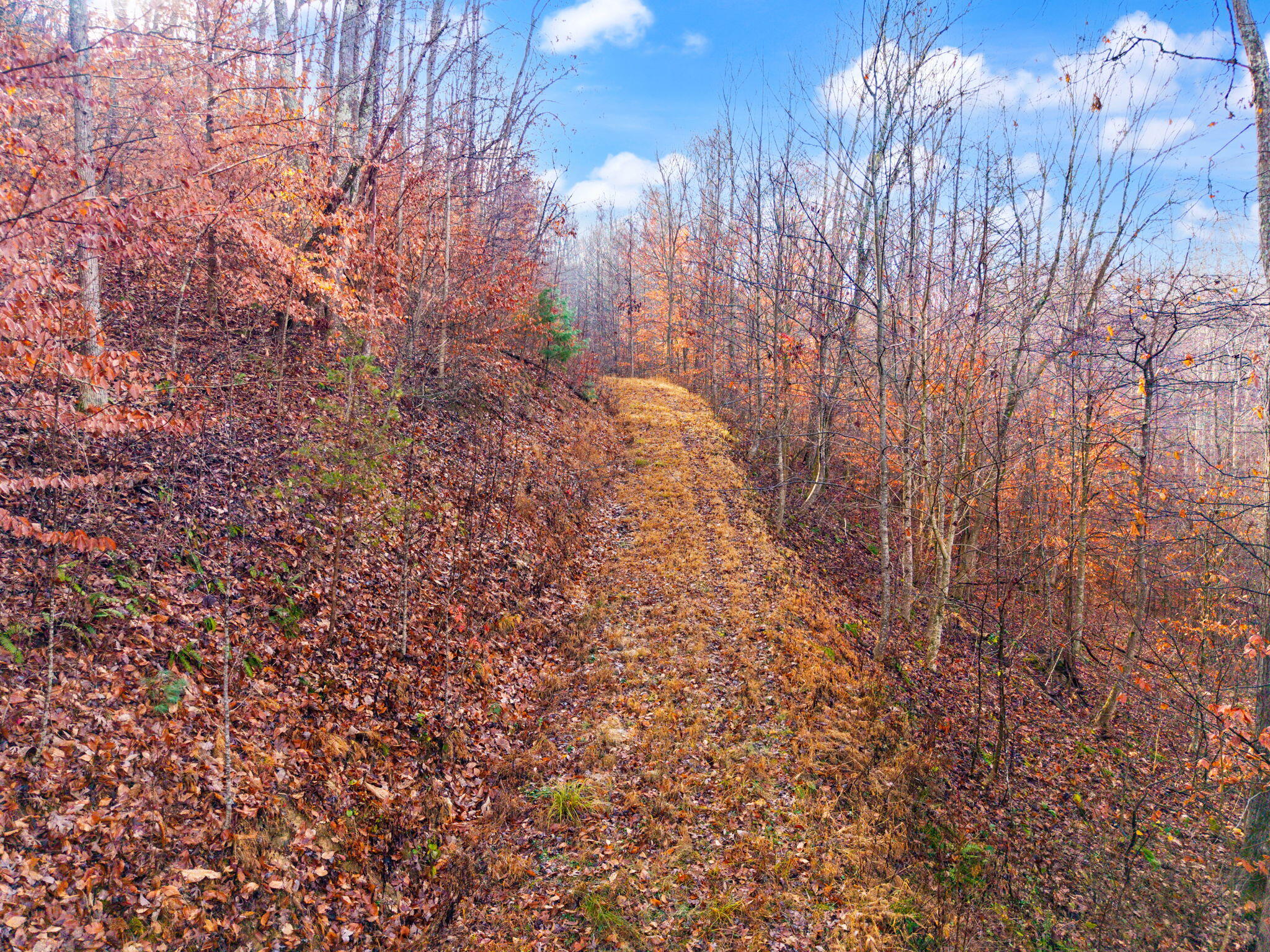 Campton, Kentucky 41301, United States, ,Land,Active,248901