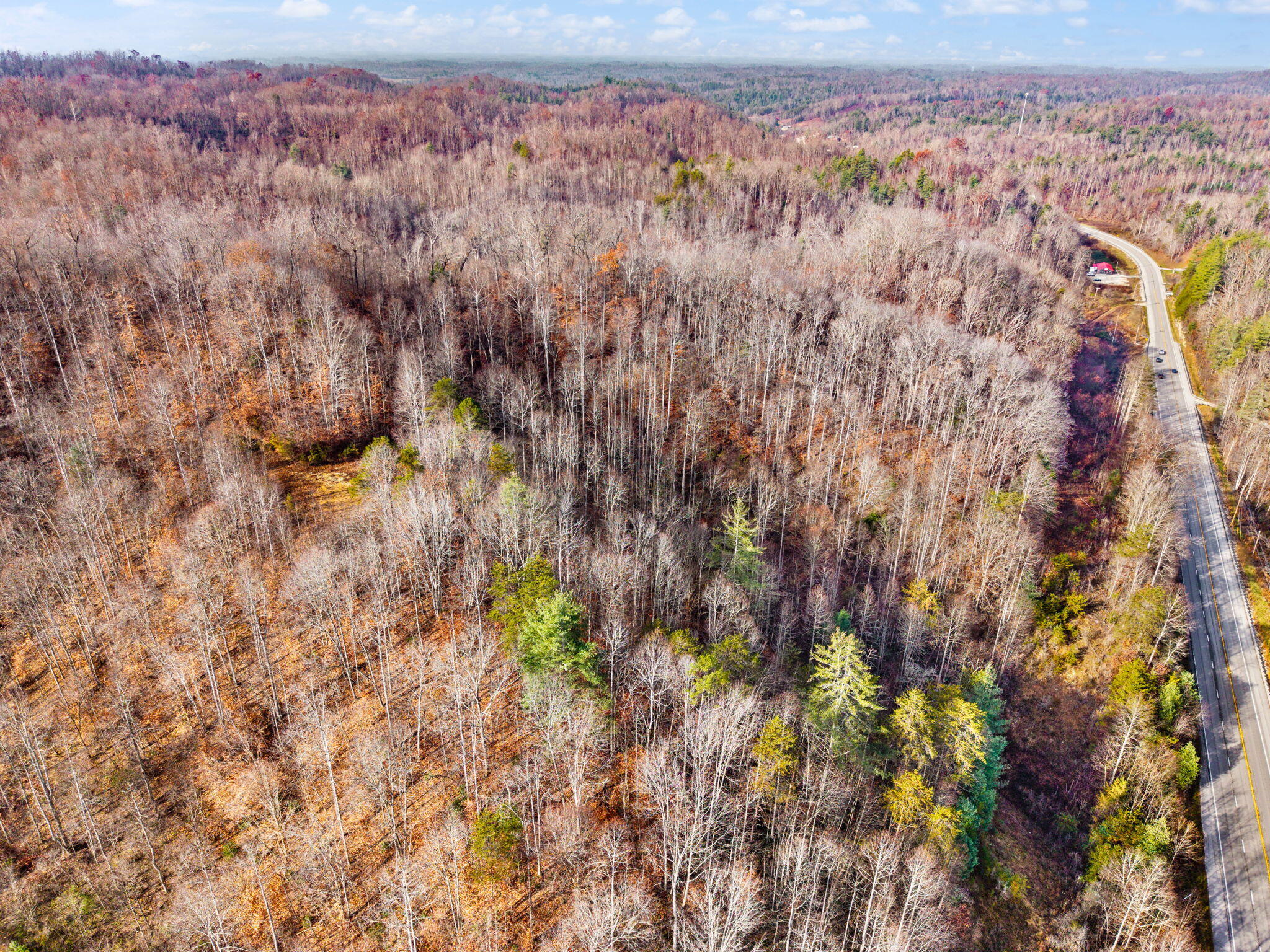 Campton, Kentucky 41301, United States, ,Land,Active,248901