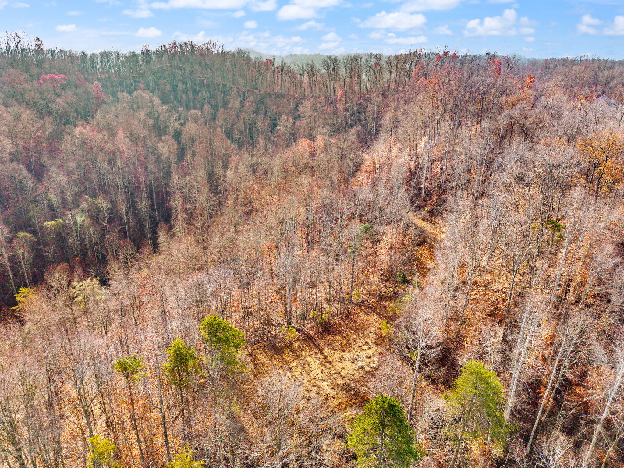 Campton, Kentucky 41301, United States, ,Land,Active,248901