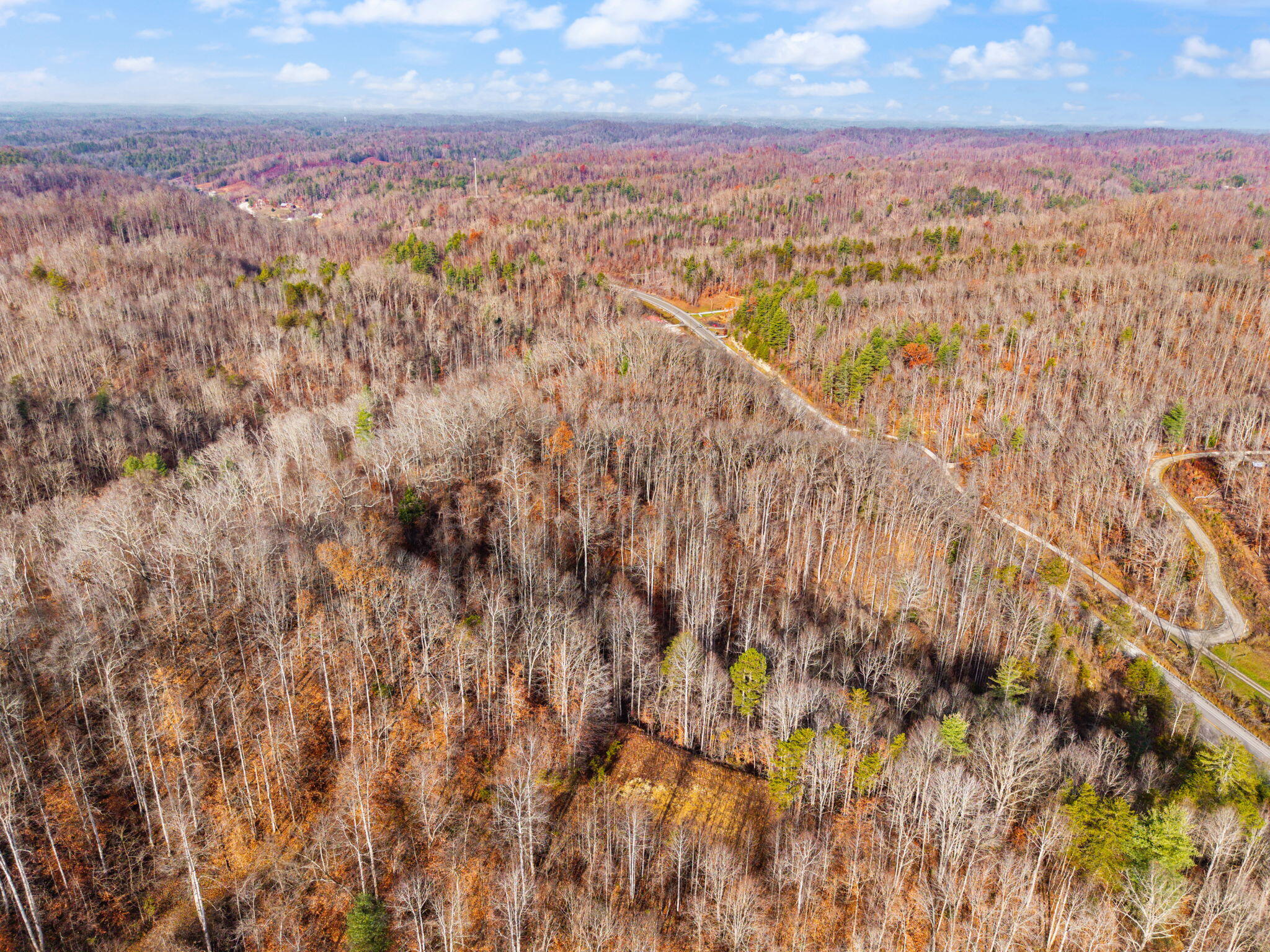 Campton, Kentucky 41301, United States, ,Land,Active,248901