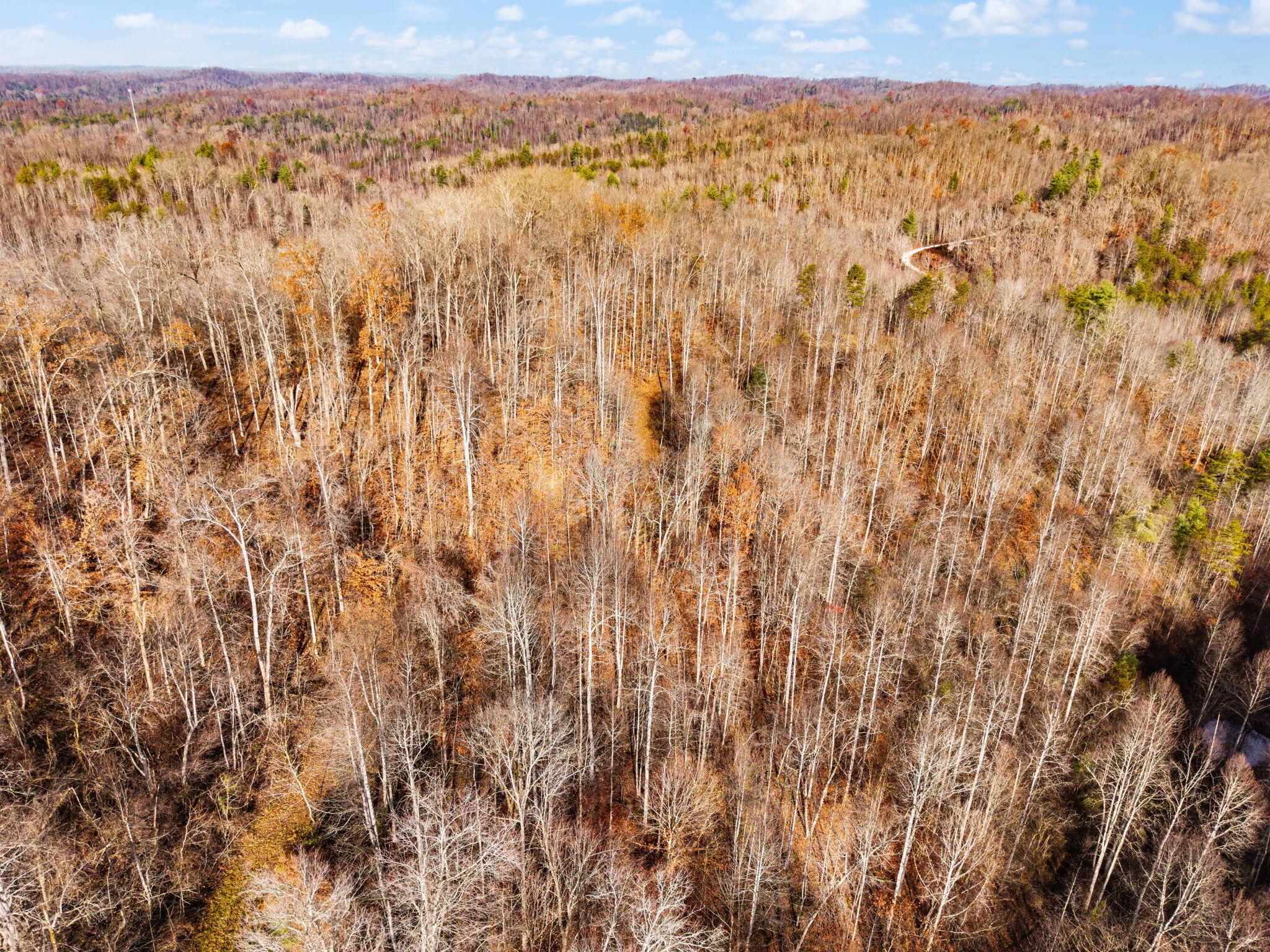 Campton, Kentucky 41301, United States, ,Land,Active,248901
