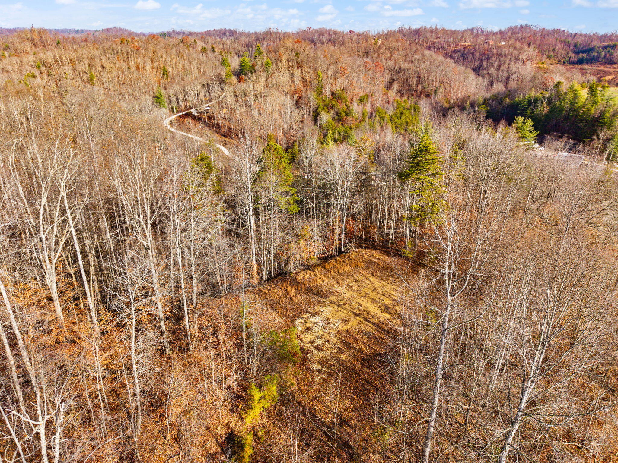 Campton, Kentucky 41301, United States, ,Land,Active,248901