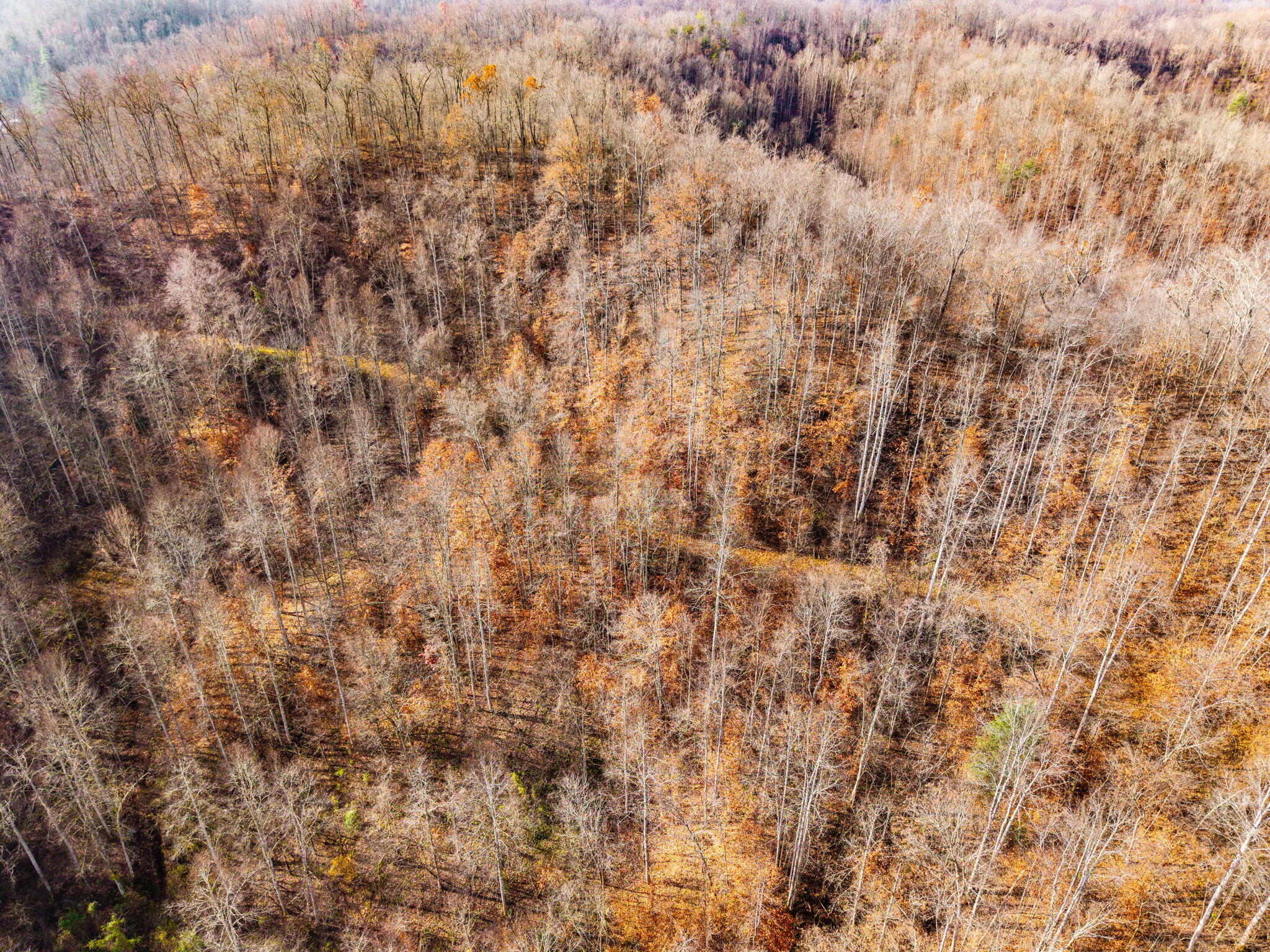 Campton, Kentucky 41301, United States, ,Land,Active,248901