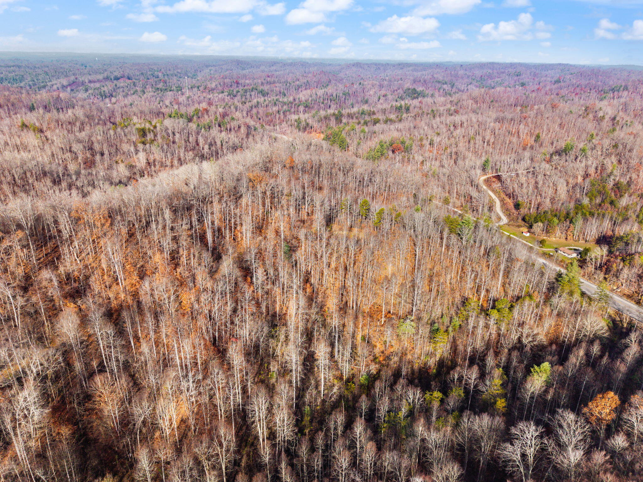 Campton, Kentucky 41301, United States, ,Land,Active,248901
