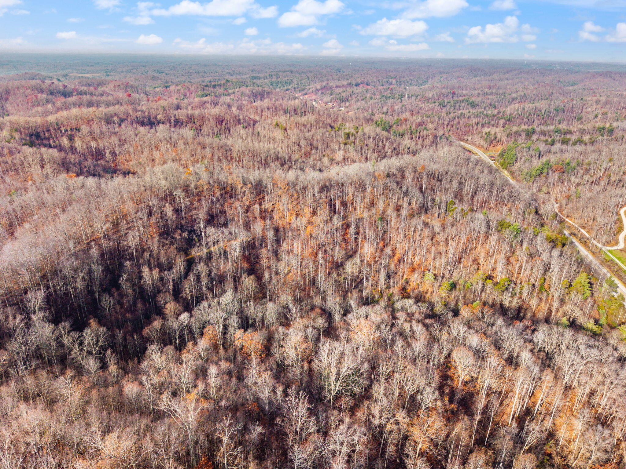 Campton, Kentucky 41301, United States, ,Land,Active,248901