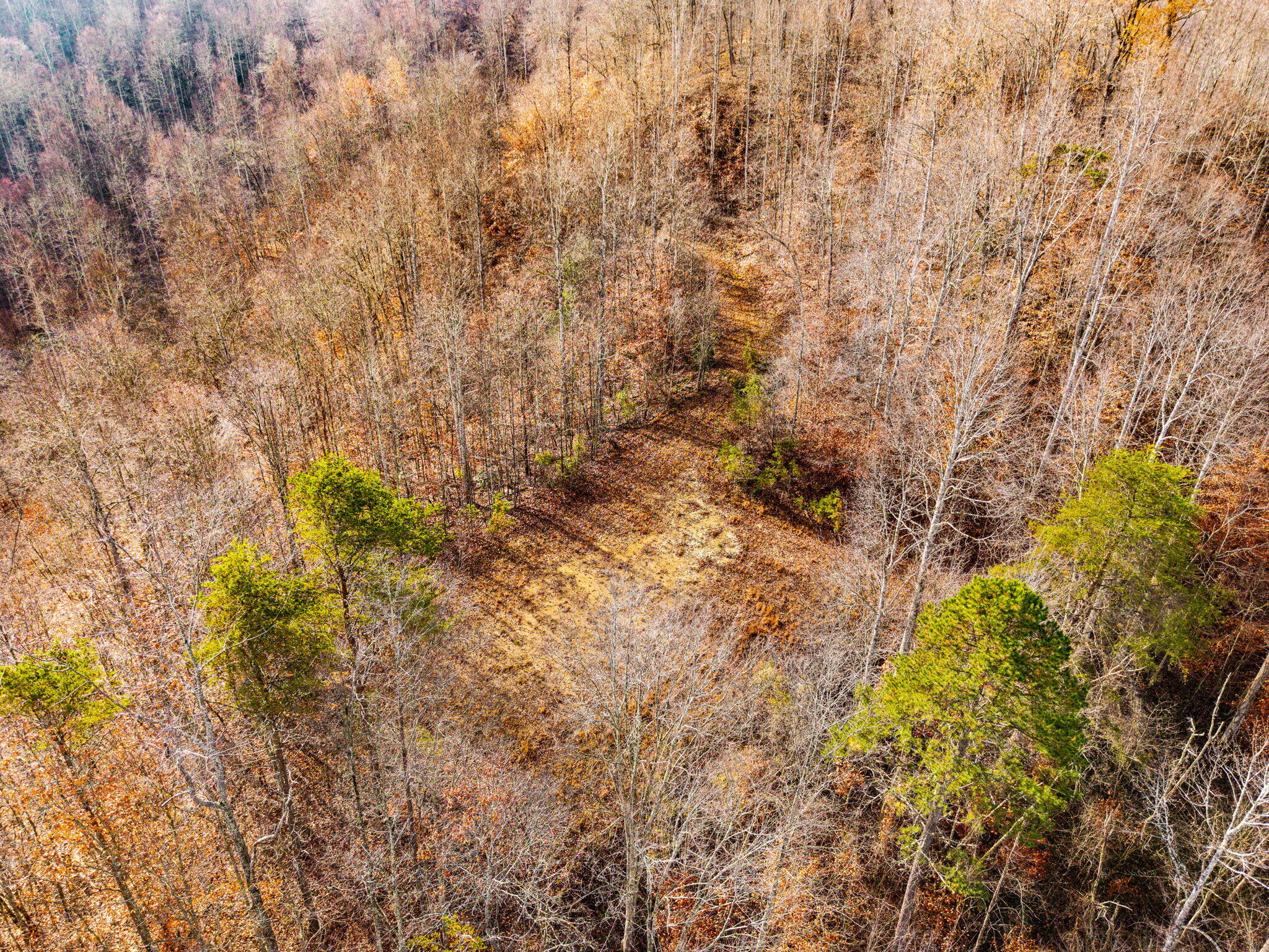 Campton, Kentucky 41301, United States, ,Land,Active,248901