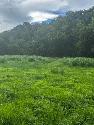 ADDRESS PRIVATE, MANCHESTER, KY 40962 - Image 9877f79a9211e2d997feebcf9e6f46d5/3305048753