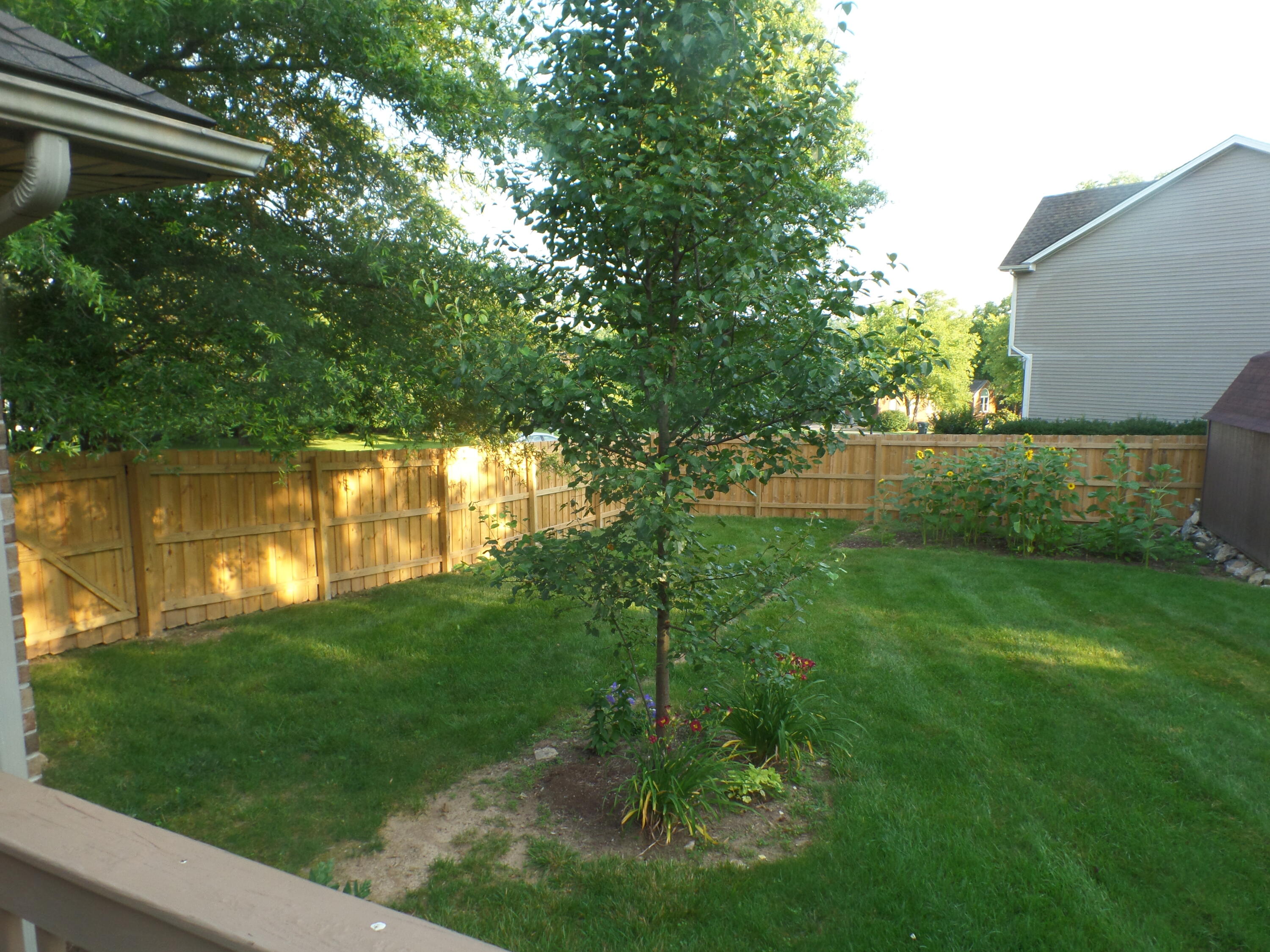 Georgetown, Kentucky 40324, United States, 3 Bedrooms Bedrooms, ,2 BathroomsBathrooms,Residential,Active,152594