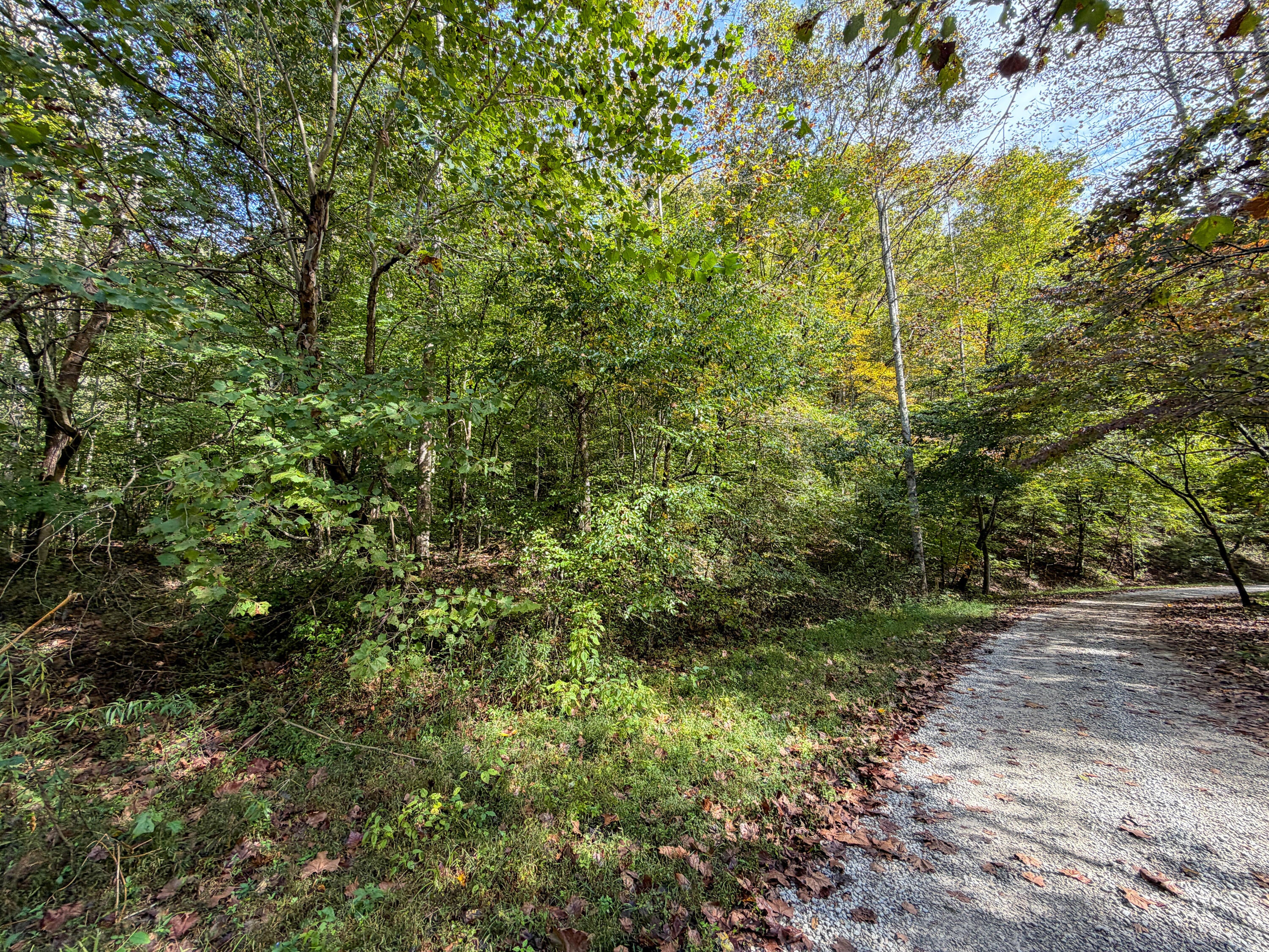 0 Buzzard Creek Road