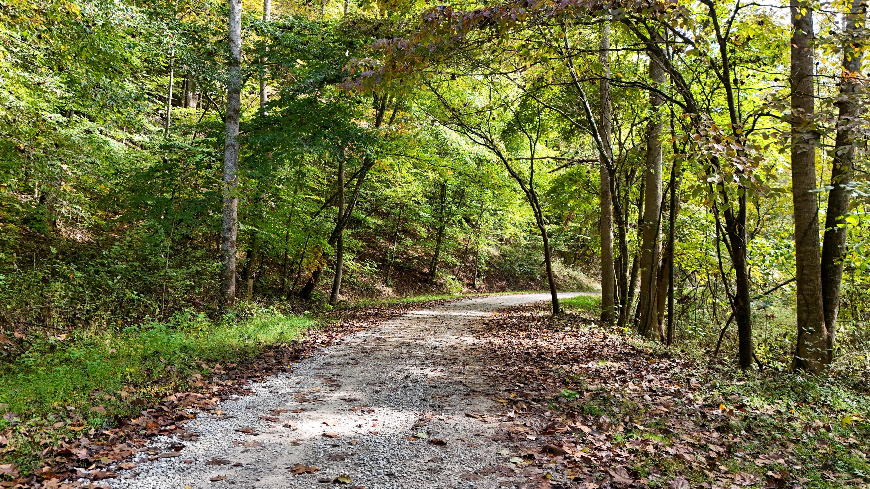 0 Buzzard Creek Road