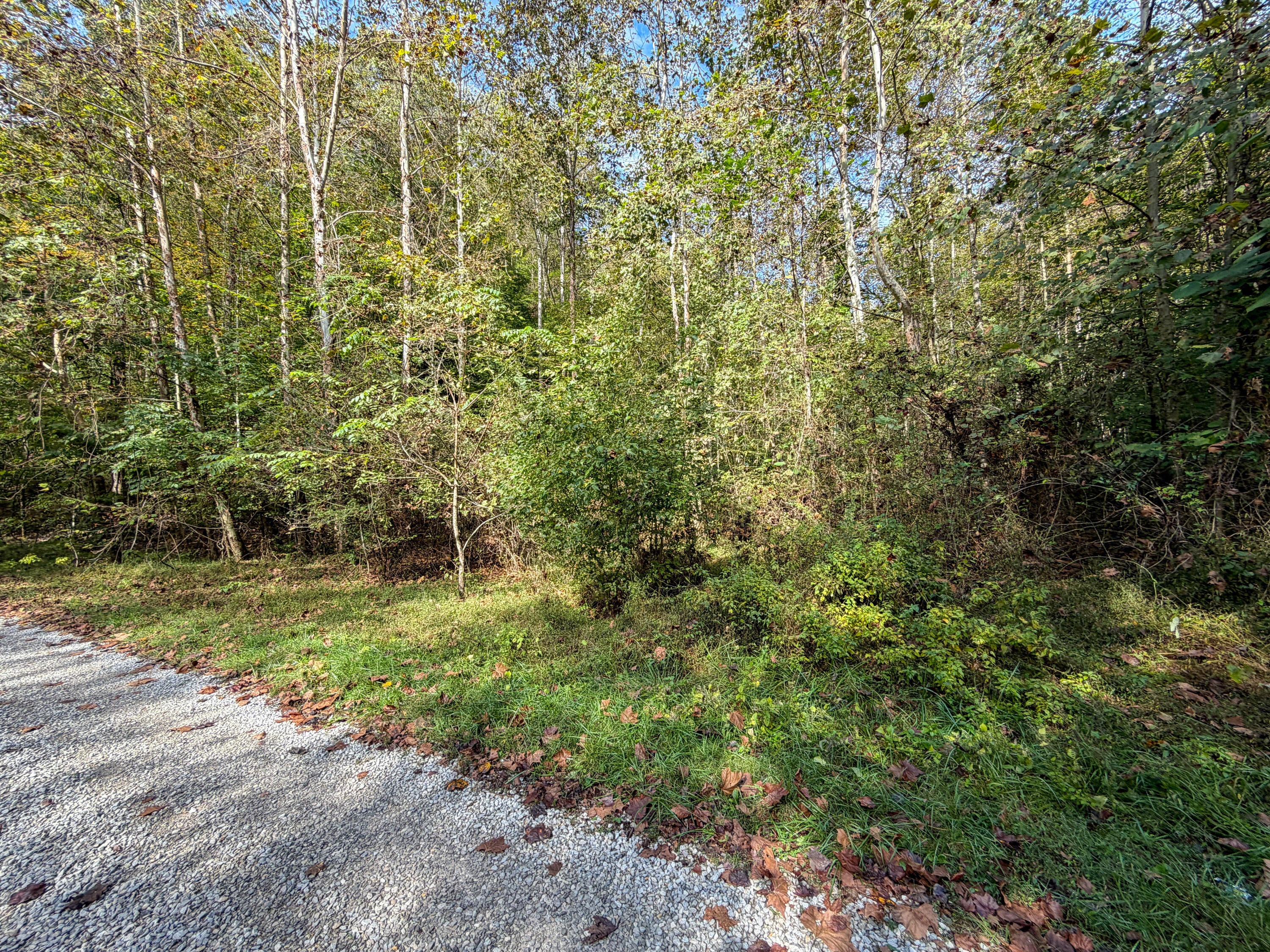 0 Buzzard Creek Road