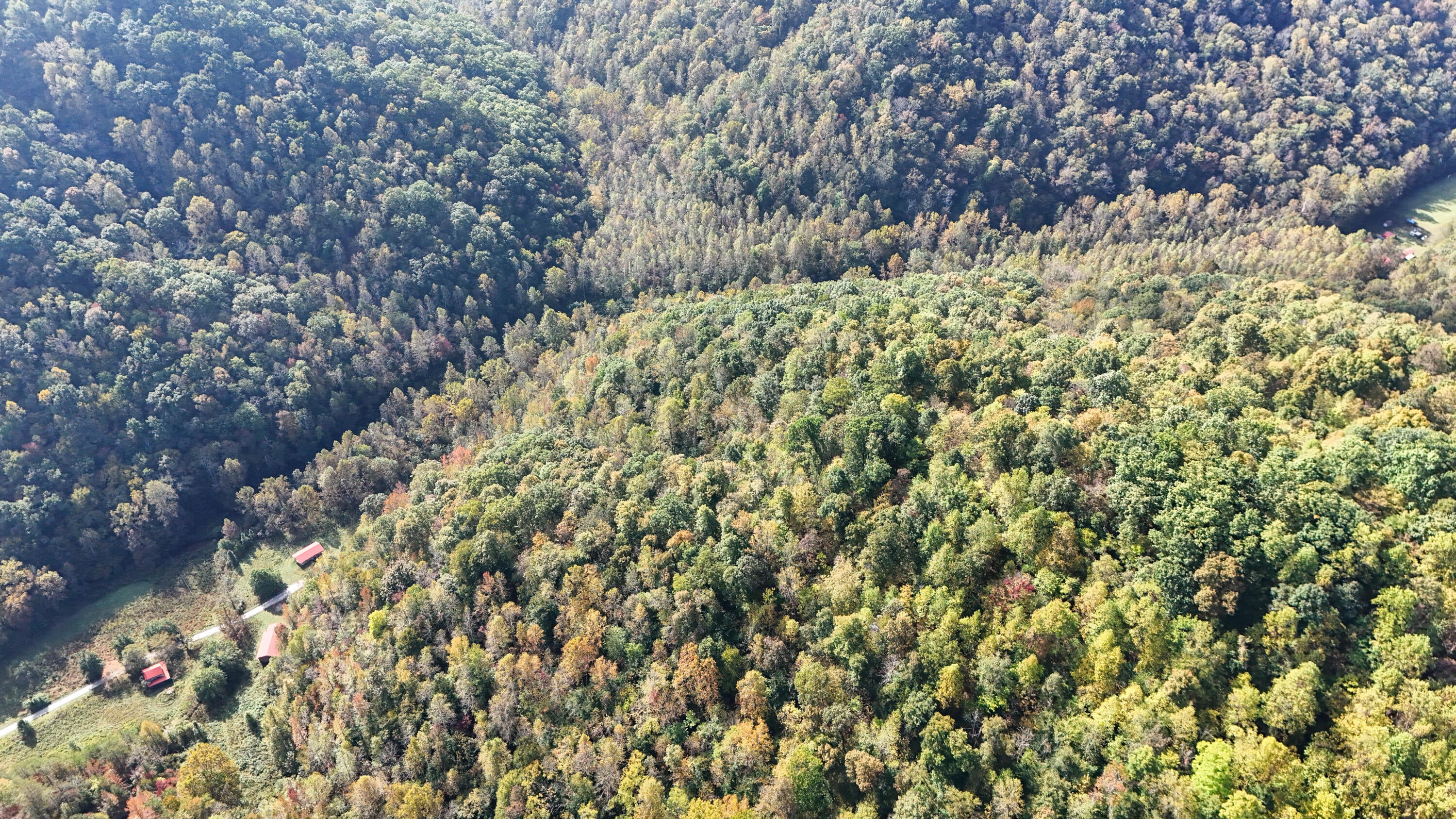 0 Buzzard Creek Road