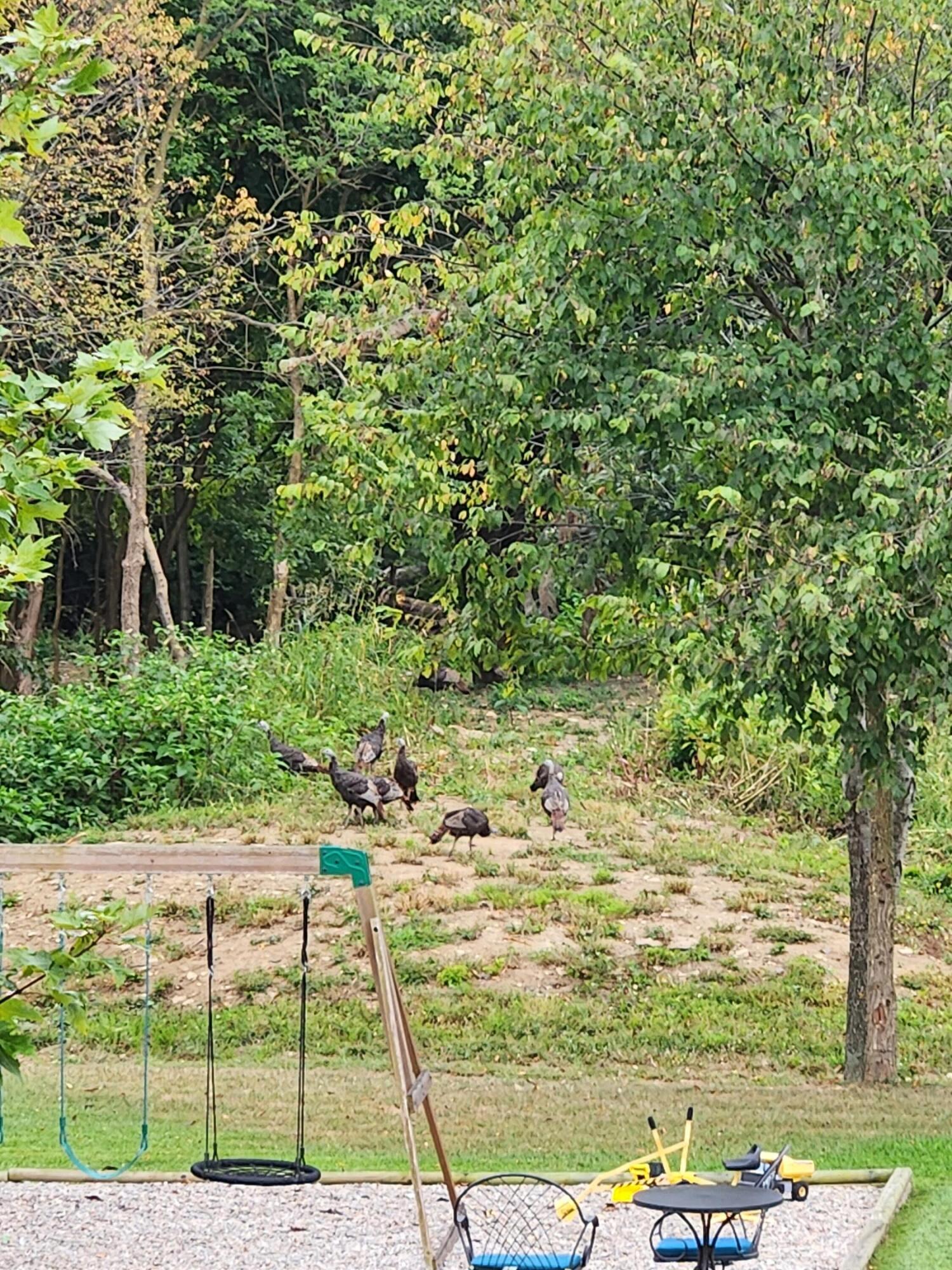 Paris, Kentucky 40361, United States, 4 Bedrooms Bedrooms, ,4 BathroomsBathrooms,Residential,Active,91909